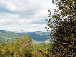 Vista