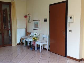 Ingresso