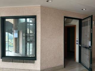 Ingresso