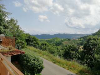 Vista
