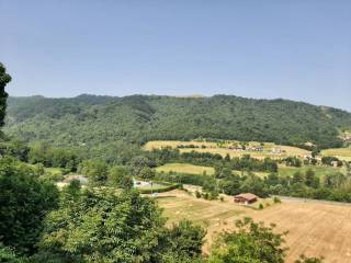 Vista
