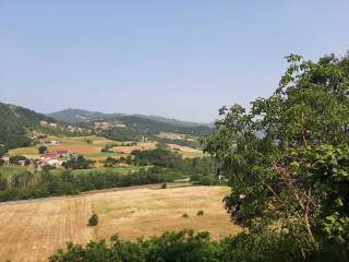 Vista