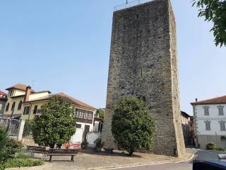 Zona