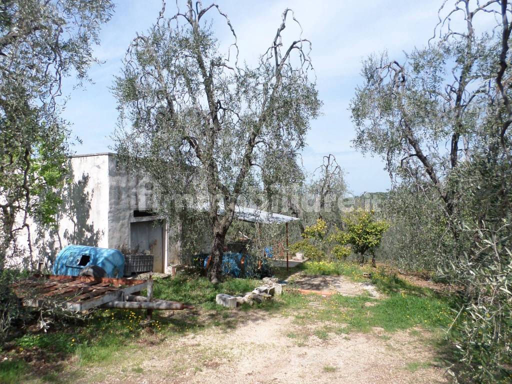 Terreno