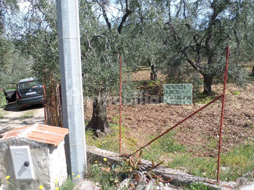 Terreno