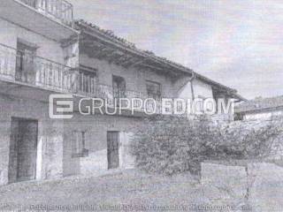 Zona