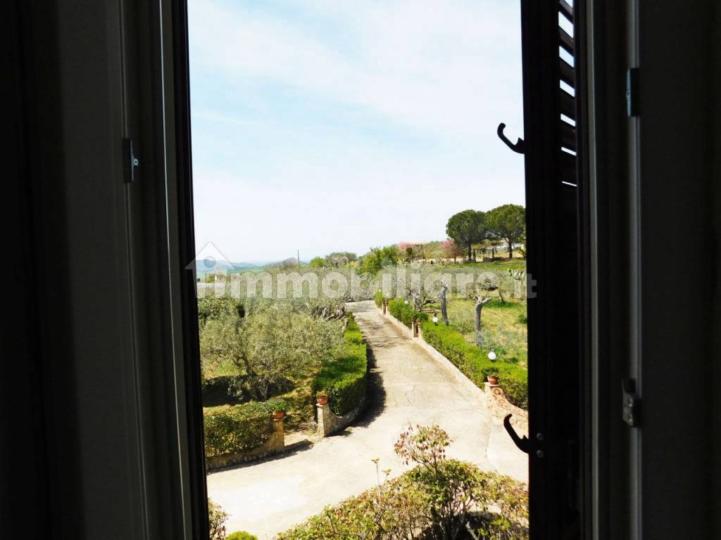 Vista