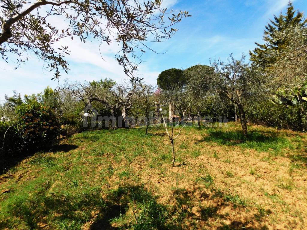 Terreno