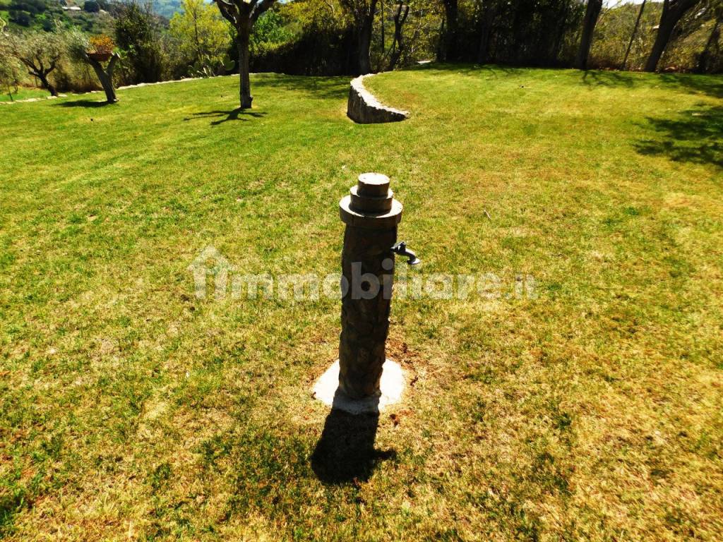 Terreno