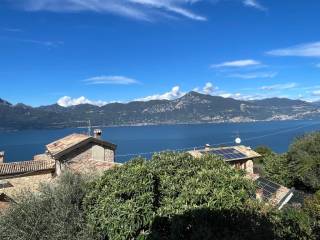 Vista