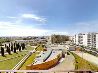 Vista