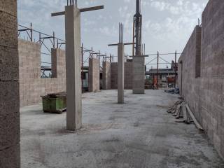 Zona