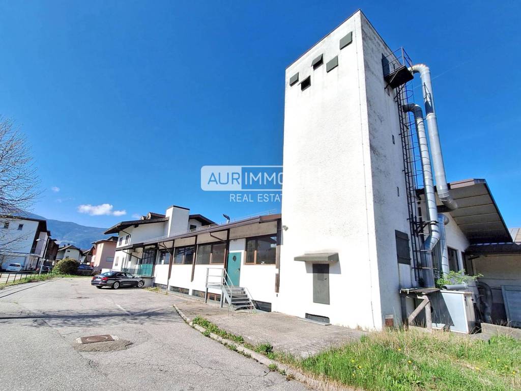 Zona