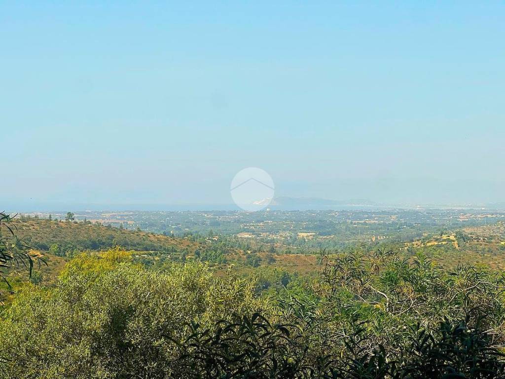 Vista