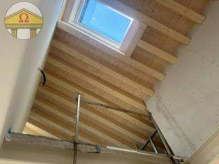 Scala