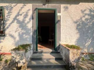 Ingresso