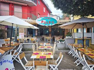 Zona
