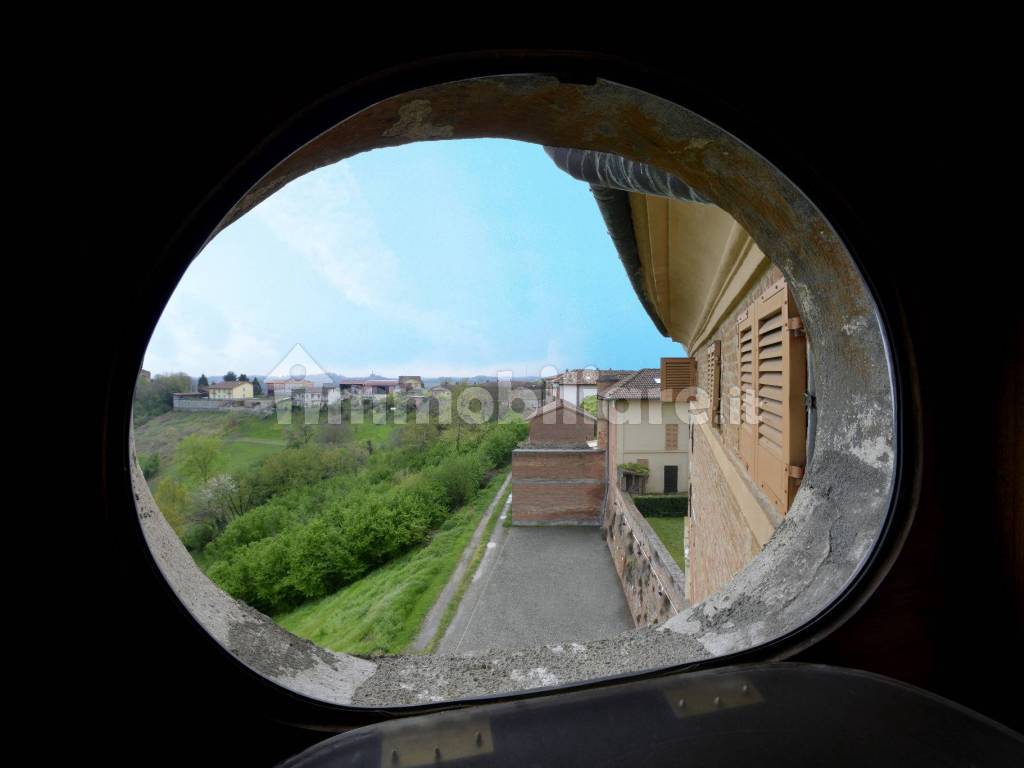 Vista