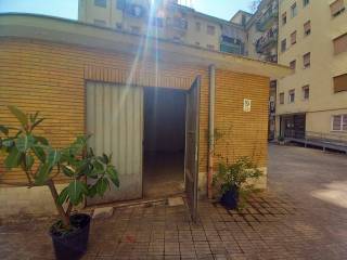 Ingresso