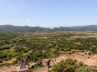 Vista