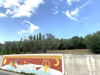 Vista