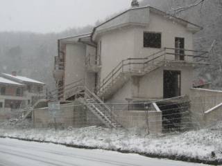 Zona