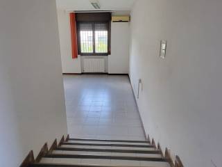 Scala