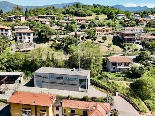 Vista