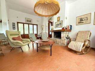 Salone