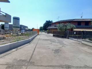 Zona