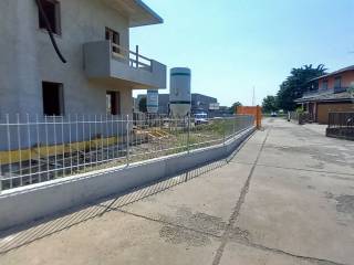 Zona