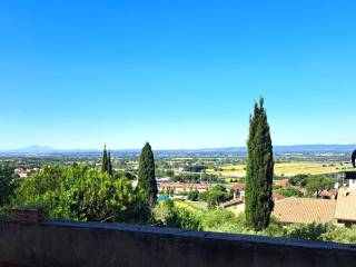 Vista