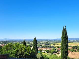 Vista