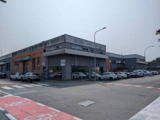 Zona