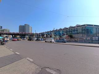 Zona