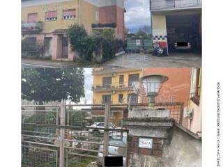 Zona