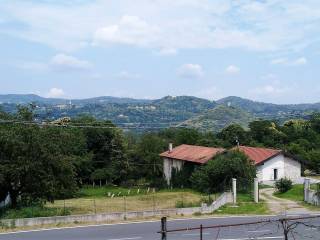 Vista