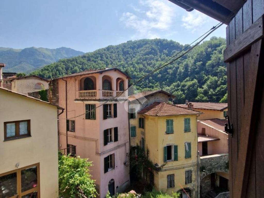 Vista