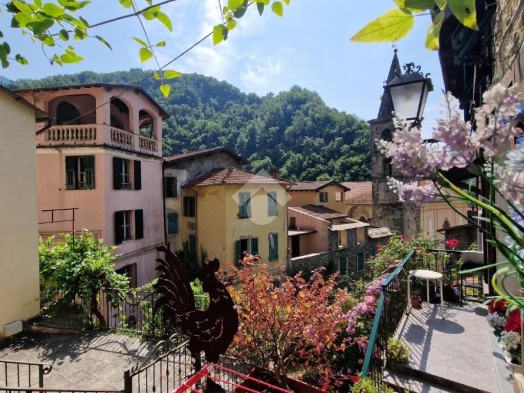 Vista