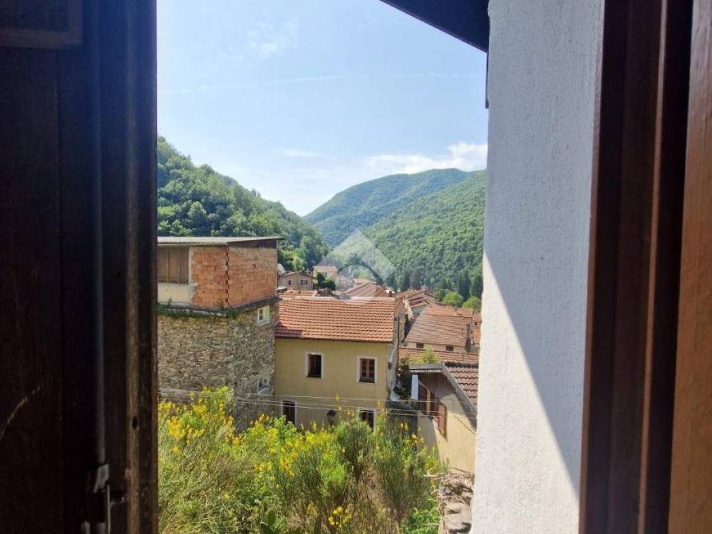 Vista