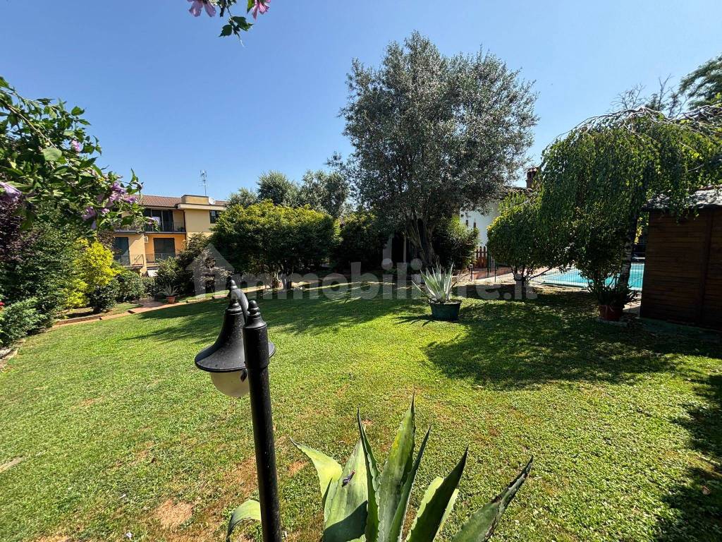 Giardino