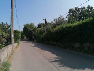 Zona