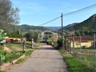 Zona