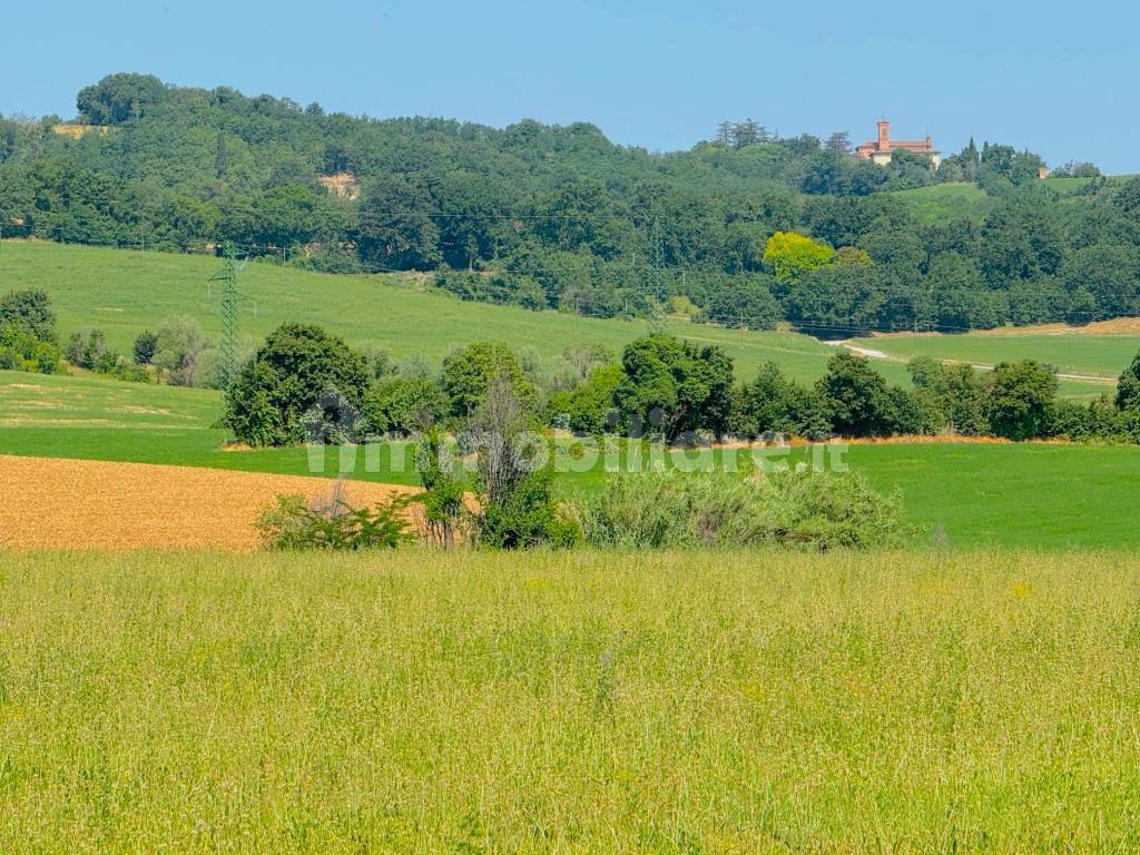 Terreno