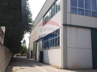 Zona