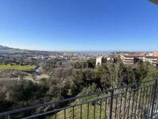 Vista