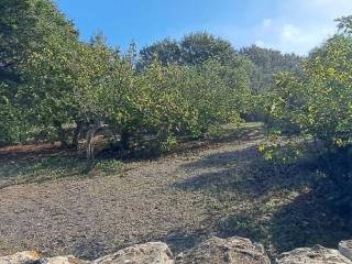 Terreno