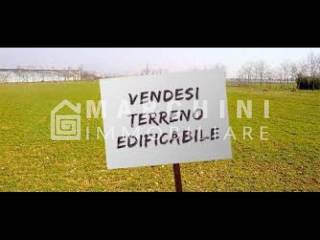 Zona