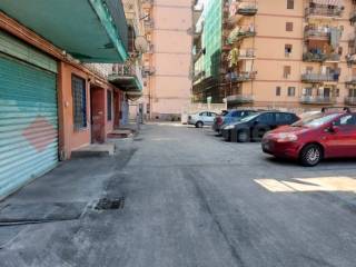 Zona