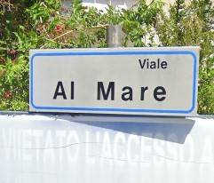 Zona